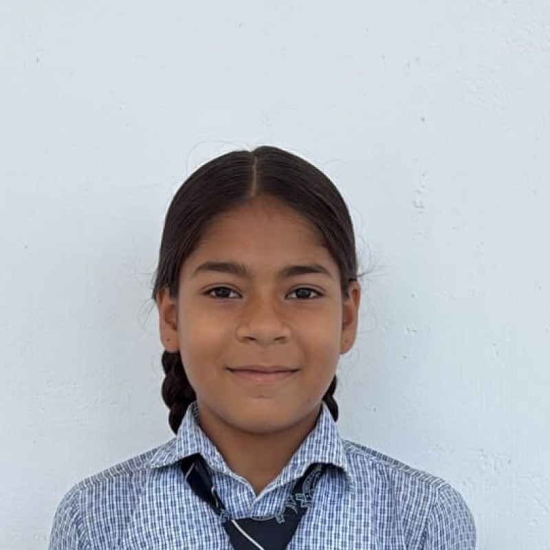 Palak